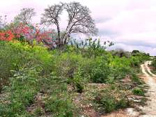 10 ac Land at Kuruwitu Vipingo