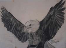 My A4 size art on an eagle.