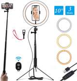 10Inch LED Ring Light with Universal Phone Holder