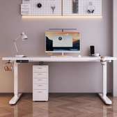 Office Desk: 1.2m Electric Programmable Standing Desk