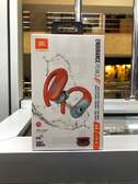 JBL Endurance Peak 3