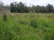 Lovely One Acre in Karen