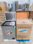 Ecomax 109 Litres Freezer