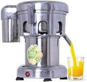 Fruit Juice Maker Squeezer (80 -100kg/hr Commercial