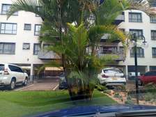 2 Bed Apartment with En Suite at Raphta Rd