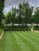 Landscaping services