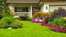 Best Landscaping & Gardening Services-Nakuru Experts