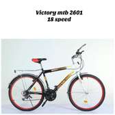 Victory mtb 2601 18 speed bike