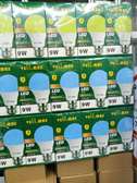 3-in-1 coloured bulbs in wholesale