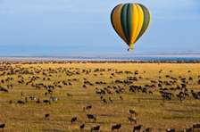 masai mara migration safari