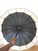 Umbrella/Rain umbrella/Big umbrella