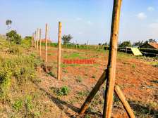 0.05 ha Residential Land in Kikuyu Town