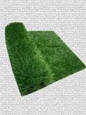 quality turf grass