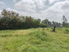 Commercial Land at Gatongora
