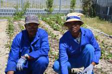 Bestcare Gardeners Kiambu,Machakos,Murang'a,Rongai