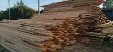 Prime pine timber for sale