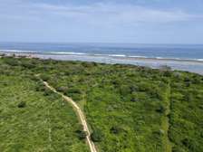 0.25 ac Residential Land in Vipingo