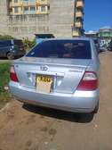 Corolla NZE