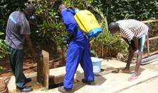 Bed Bugs Control Services in Mlolongo,Ngong,Ongata Rongai