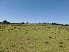 350 Acre Ranch For Sale In Ololulunga, Narok