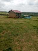 Affordable plots for sale in Kitengela