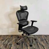 Orthopedic Ergonomic Office Chair Mesh Adjustable Headrest