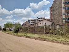 Thika Town.