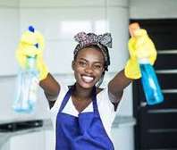 Top 10 Cleaning & Domestic Service Providers in Nairobi