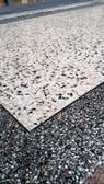 Terrazo floor masters