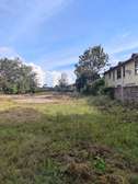 0.5 ac Land at Karen Road