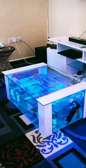 3ft Coffee Table Aquariums