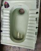 Asian Step Toilets