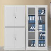 2-Door Metallic Office Cabinet