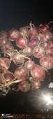 Red onions for sale in Nanyuki
