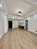 1 Bed Apartment with En Suite in Westlands Area
