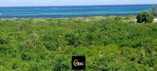 Land in Malindi