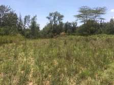 1 Acre For Sale