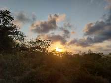 2.0 ac Land at Diani