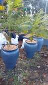 Flower pots in different material