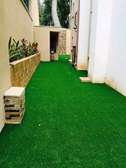Affordable Grass Carpets -10