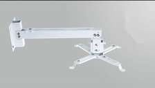 PM4365 projector mount