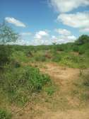 40 Acres of Agricultural Land Is For Sale In Makindu Town