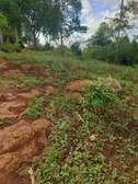 0.3 ha Land in Thindigua
