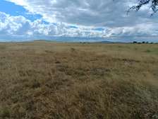 Land for sale in Lenchani