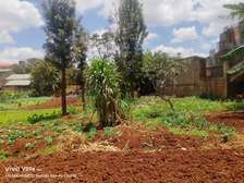 0.25 ac Land at Kangemi