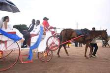 Chariots for hire