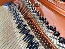 Piano keyboards,PA address, speakers, and amplifiers Repair