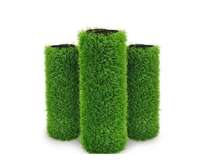 Green grass carpet