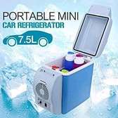 Mini car fridge