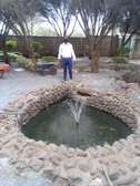 Ornamental fish pond construction maintenance and filtration